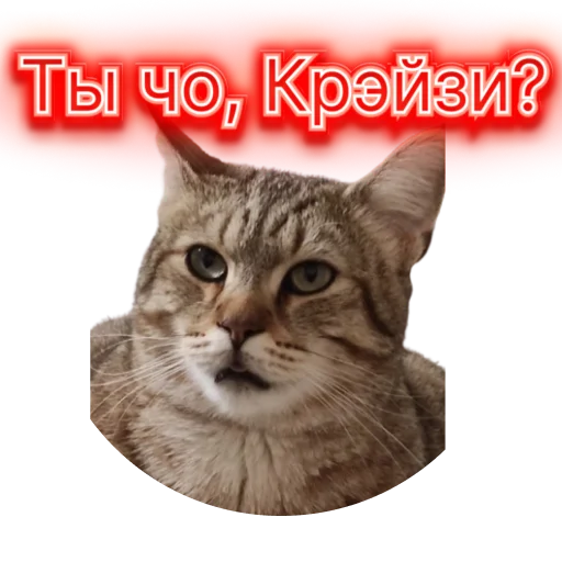 😜 Стикер «DIXIEEE» для Telegram