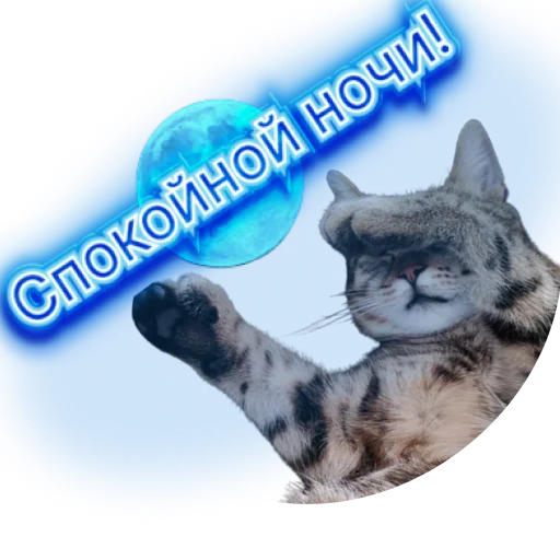 Стикерпак DIXIEEE для Telegram