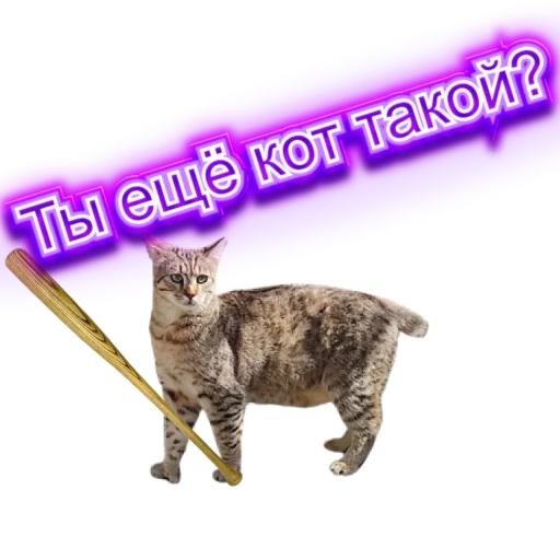 🏏 Стикер «DIXIEEE» для Telegram