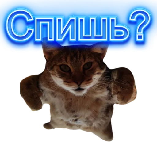 👺 Стикер «DIXIEEE» для Telegram