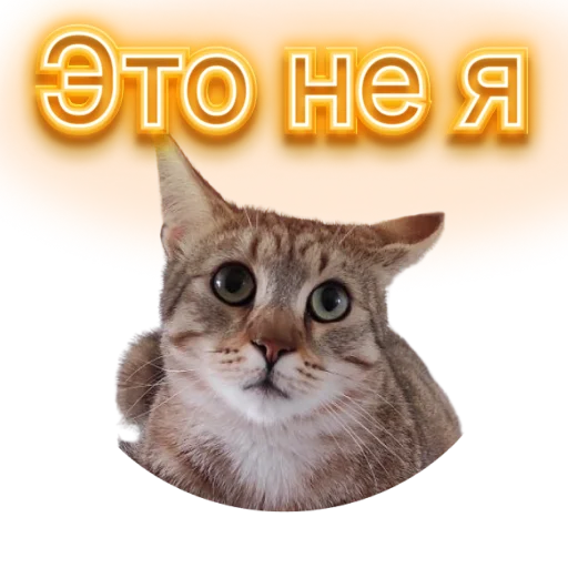 ☺ Стикер «DIXIEEE» для Telegram