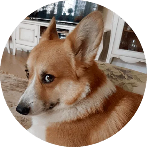 Стикерпак django для Telegram