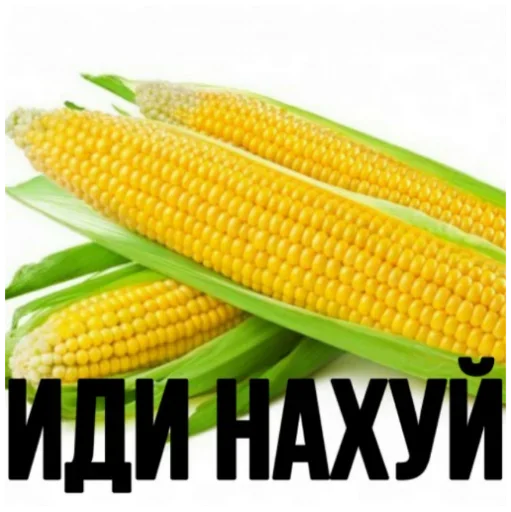🎱 Стикер «Memes Мемы» для Telegram