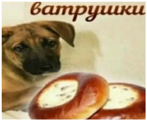 🎱 Стикер «Memes Мемы» для Telegram