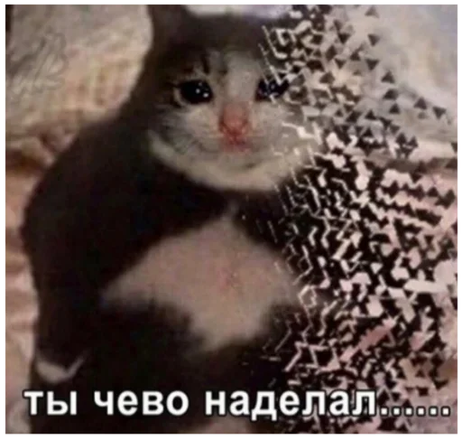 🎱 Стикер «Memes Мемы» для Telegram