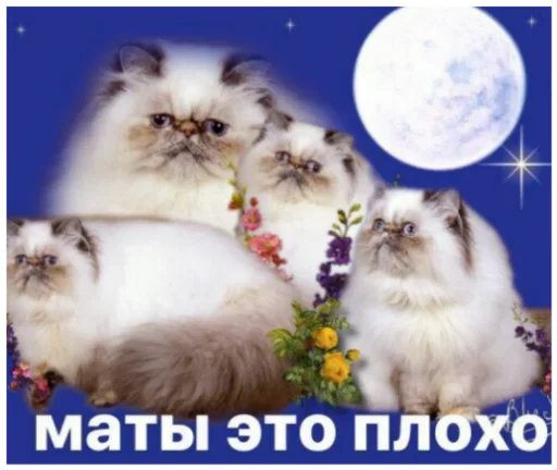 🎱 Стикер «Memes Мемы» для Telegram