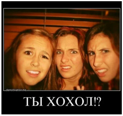 🎱 Стикер «Memes Мемы» для Telegram