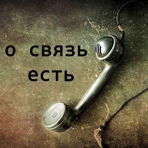 🎱 Стикер «Memes Мемы» для Telegram