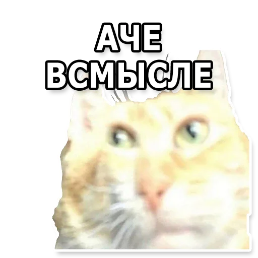 🤔 Стикер «DL TSP II» для Telegram