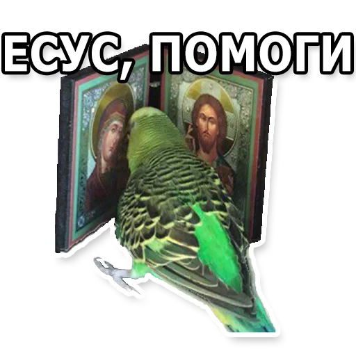 😨 Стикер «DL TSP II» для Telegram