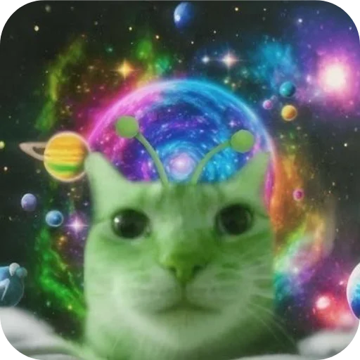 🐱 Стикер «Для любой ситуации» для Telegram