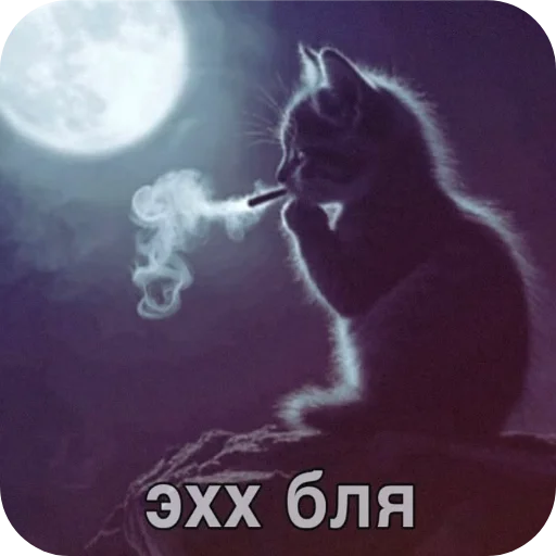 🐱 Стикер «Для любой ситуации» для Telegram