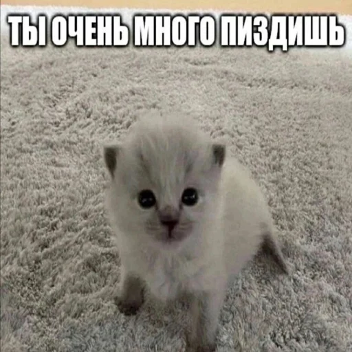 👿 Стикер «Дмитрий» для Telegram