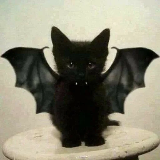 🎃 Стикер «Дмитрий» для Telegram