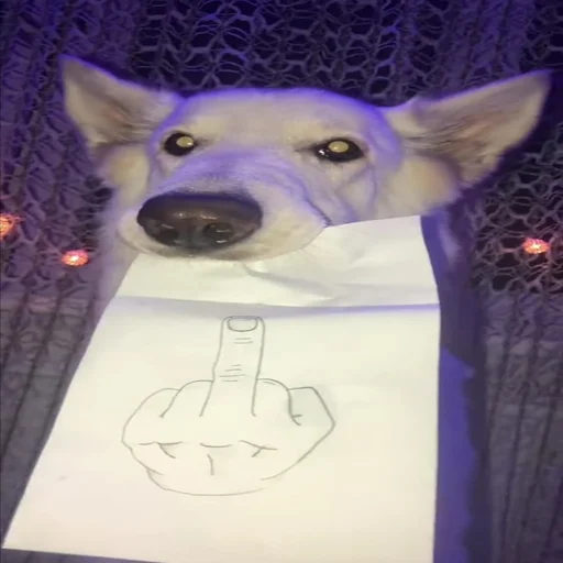 👿 Стикер «Дмитрий» для Telegram