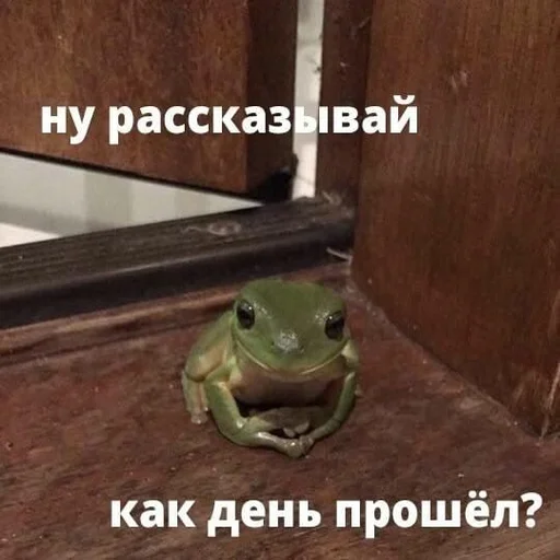 😀 Стикер «Дмитрий» для Telegram