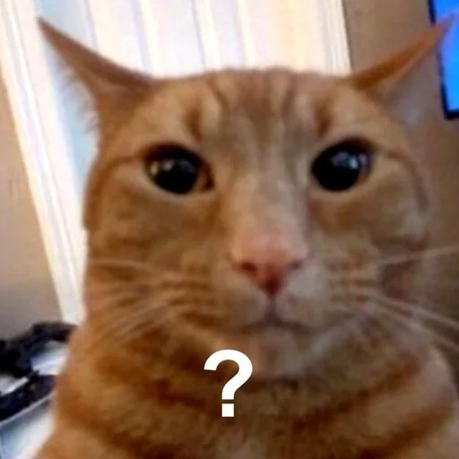❓ Стикер «Дмитрий» для Telegram