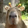 🦒 Эмодзи «Capybaras / капибары» для Telegram