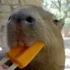 🍦 Эмодзи «Capybaras / капибары» для Telegram