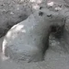 😞 Эмодзи «Capybaras / капибары» для Telegram
