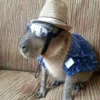 😎 Эмодзи «Capybaras / капибары» для Telegram