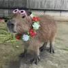 🌸 Эмодзи «Capybaras / капибары» для Telegram