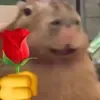 🌹 Эмодзи «Capybaras / капибары» для Telegram