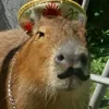🇮🇹 Эмодзи «Capybaras / капибары» для Telegram