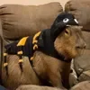 🐝 Эмодзи «Capybaras / капибары» для Telegram