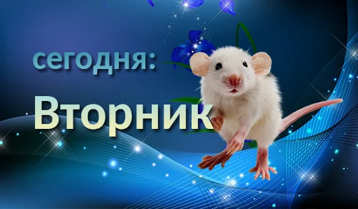 🐭 Стикер «Дни недели» для Telegram