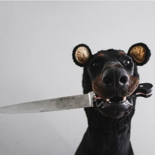 😡 Стикер «Doberman» для Telegram