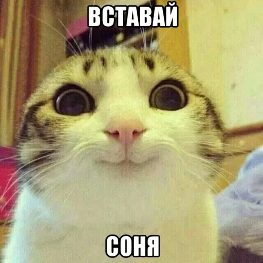 ☺️ Стикер «Доброе утро» для Telegram