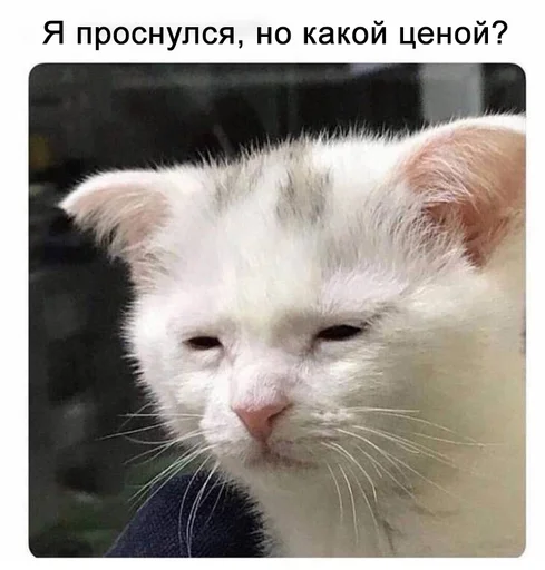 😒 Стикер «Доброе утро» для Telegram