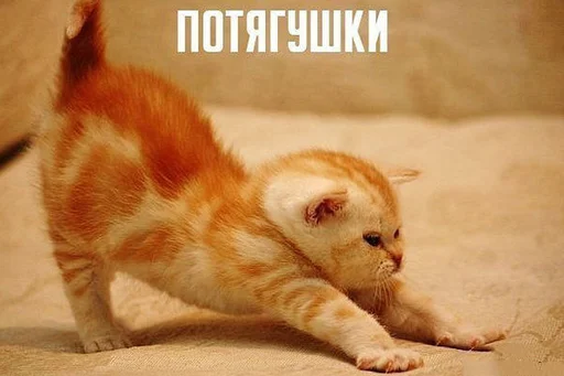 🏃 Стикер «Доброе утро» для Telegram