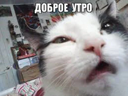 😩 Стикер «Доброе утро» для Telegram