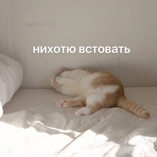 😝 Стикер «Доброе утро» для Telegram