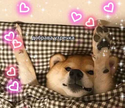 ❤️ Стикер «Доброе утро» для Telegram