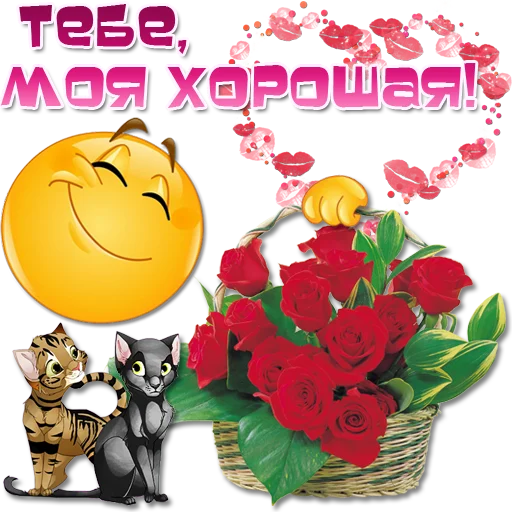 😀 Стикер «Добрые пожелания» для Telegram