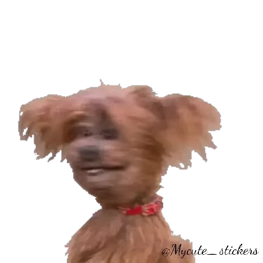 🐶 Стикер «Hacker T dog & Dodge» для Telegram