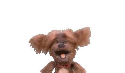 🐶 Стикер «Hacker T dog & Dodge» для Telegram