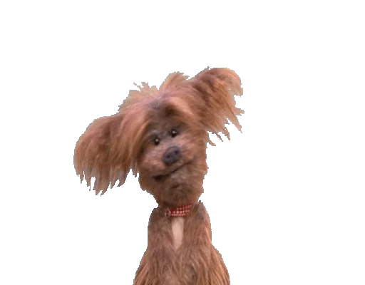 🐶 Стикер «Hacker T dog & Dodge» для Telegram