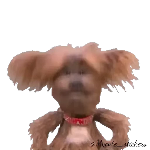 🐶 Стикер «Hacker T dog & Dodge» для Telegram