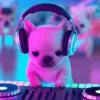 Стикер 6 dog memes