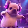 Стикер 36 dog memes
