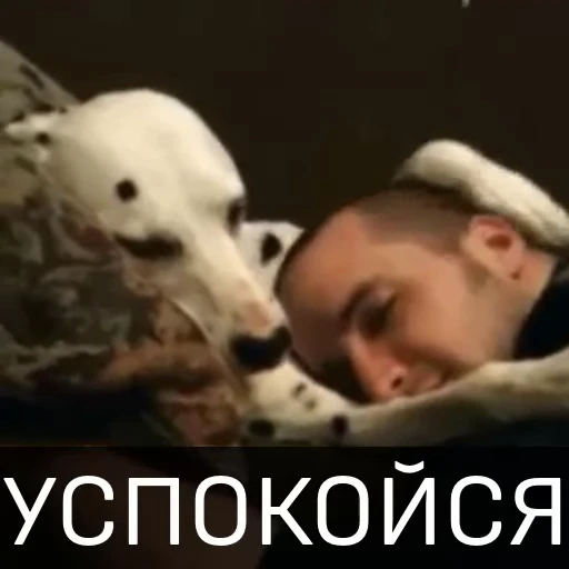 ☺️ Стикер «Собака улыбака» для Telegram