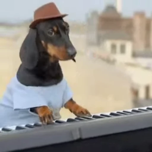 🐶 Стикер «ты я» для Telegram
