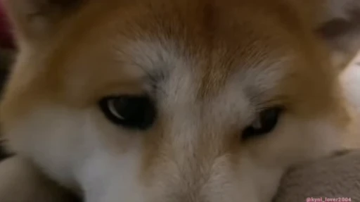 😔 Стикер «ты я» для Telegram