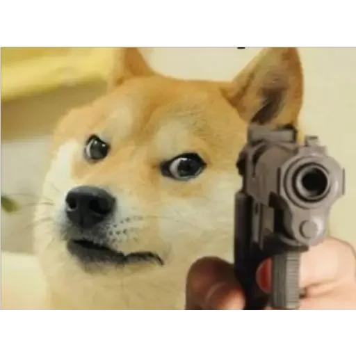 Стикерпак Doge(Ⲁⲡⲁⲛⲟⲅⲃ) для Telegram