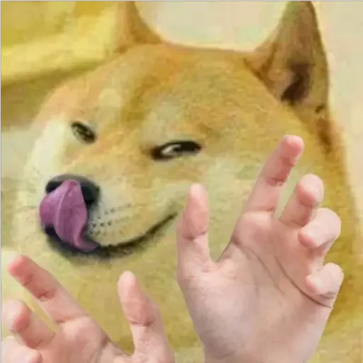 😂 Стикер «Doge(Ⲁⲡⲁⲛⲟⲅⲃ)» для Telegram