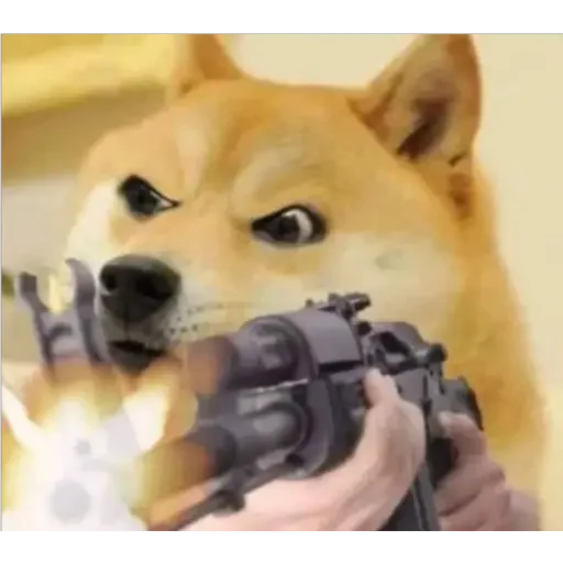 😂 Стикер «Doge(Ⲁⲡⲁⲛⲟⲅⲃ)» для Telegram
